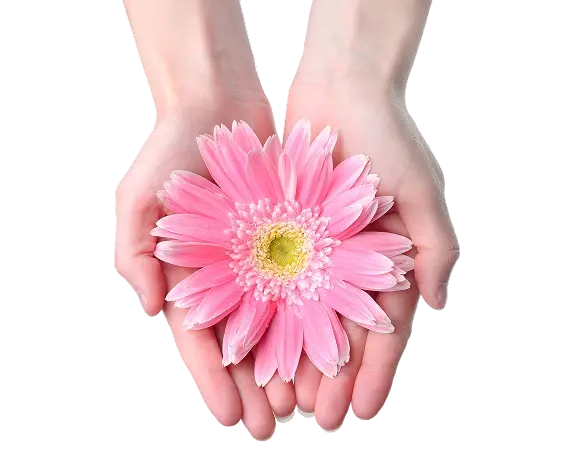 Лечение и профилактика гинекологических проблем