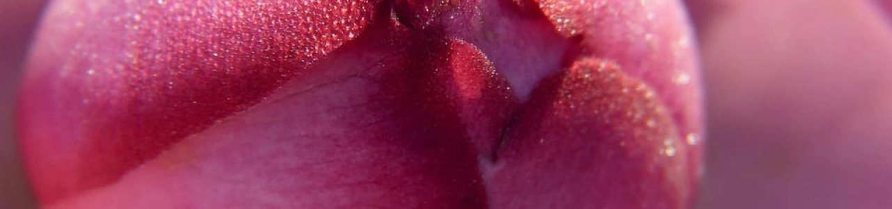 Восстановление промежности после родов